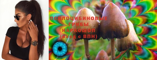 амфетамин Алексеевка