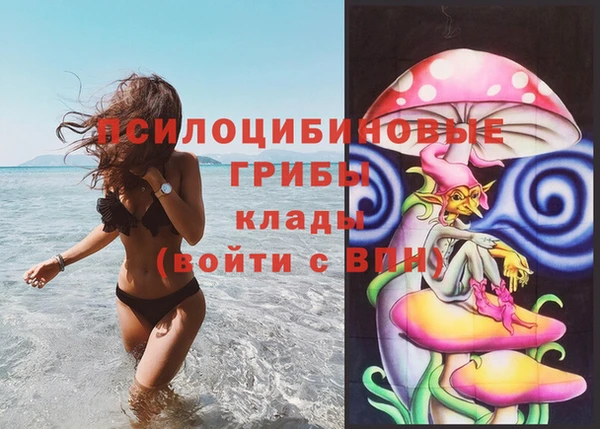 амфетамин Алексеевка