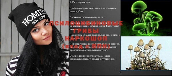 амфетамин Алексеевка
