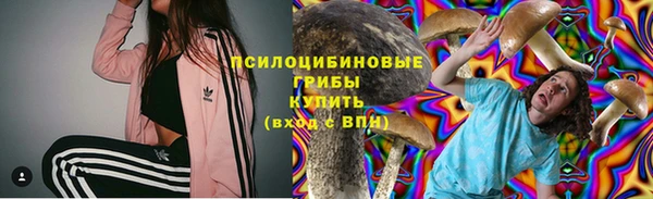 spice Алексин